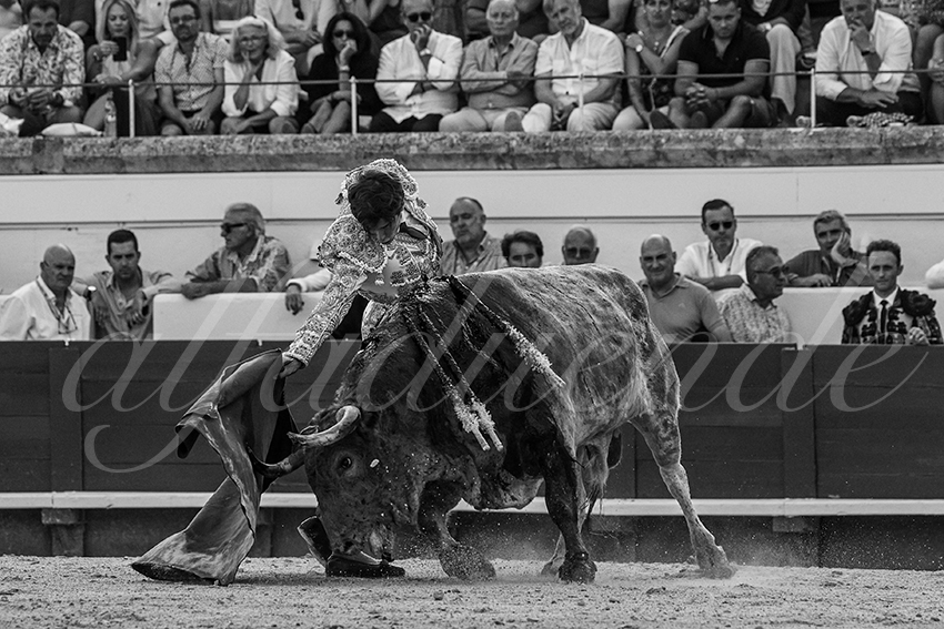 20230812 beziers 019 