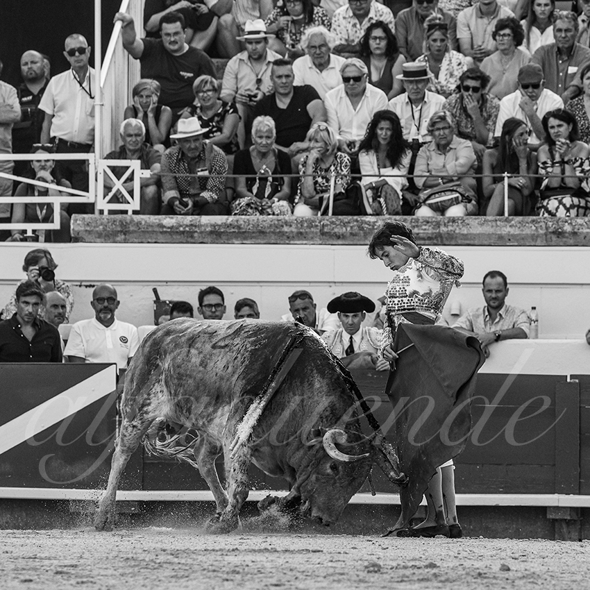 20230812 beziers 018 