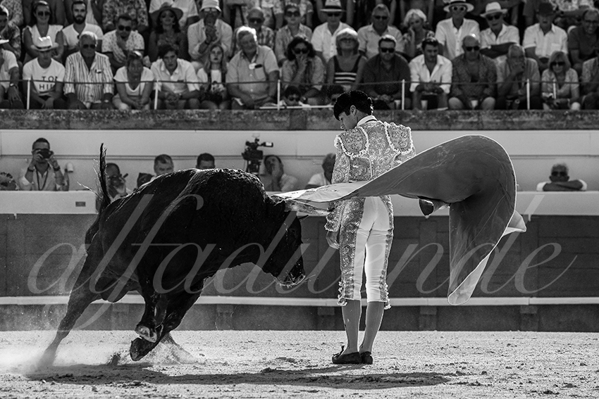 20230812 beziers 017 