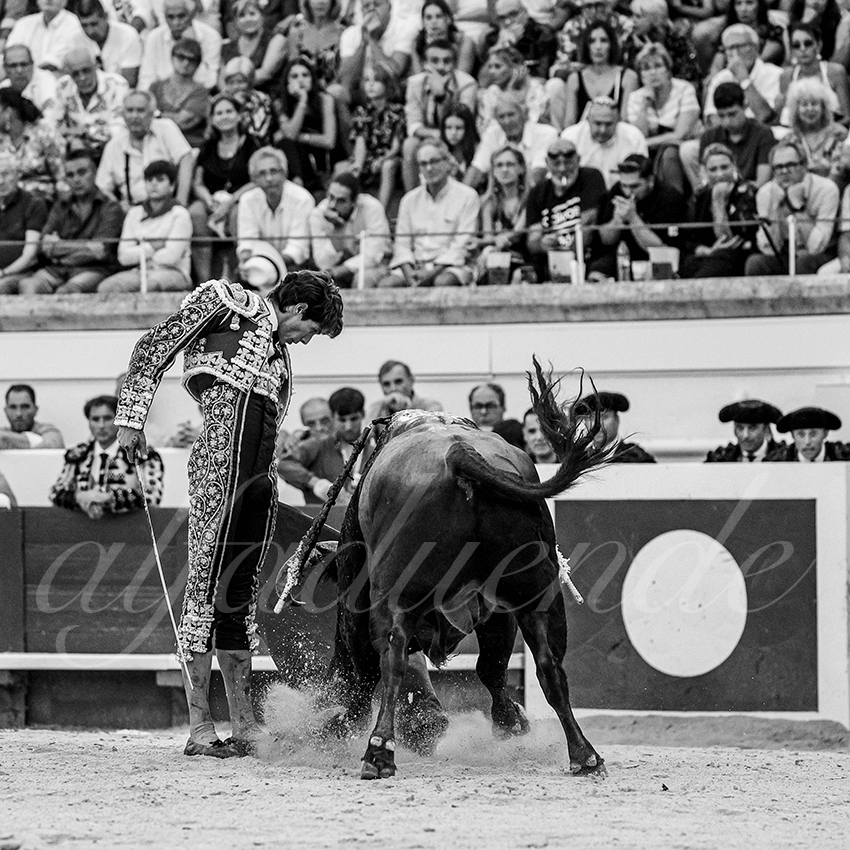 20230812 beziers 012 