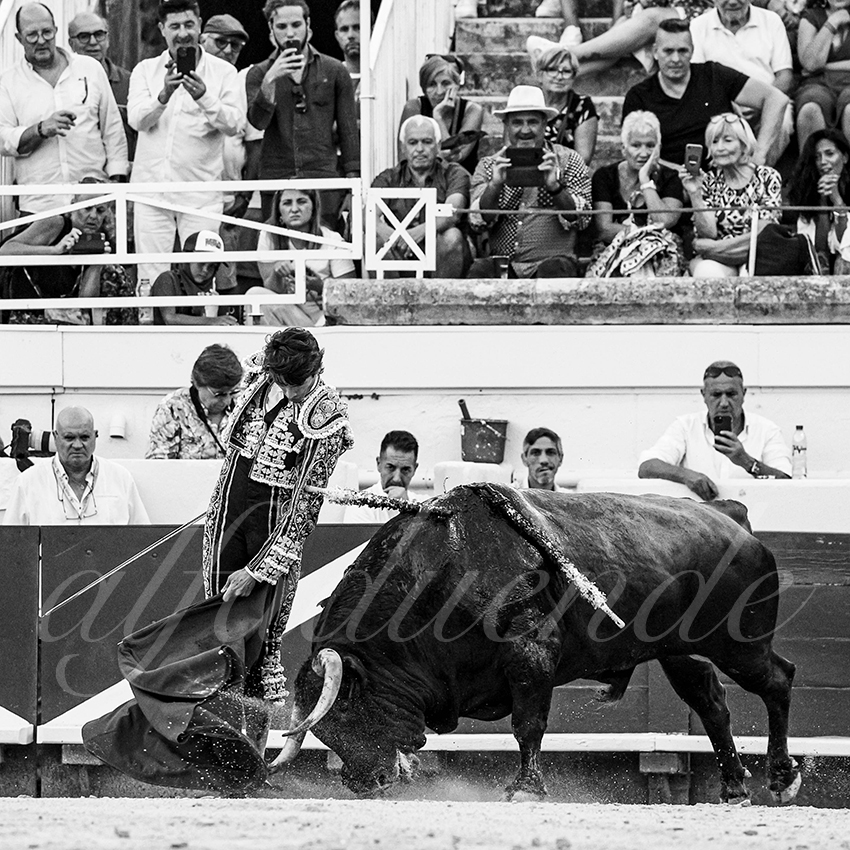 20230812 beziers 011 