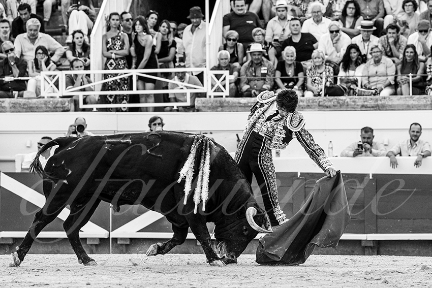 20230812 beziers 010 