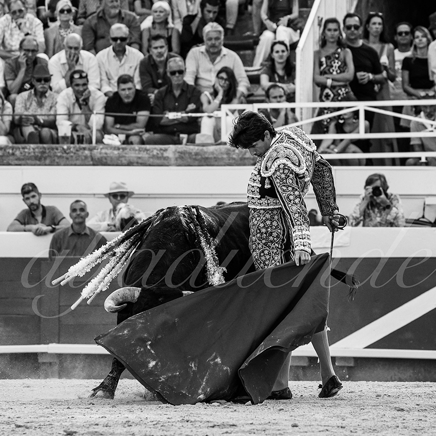 20230812 beziers 008 