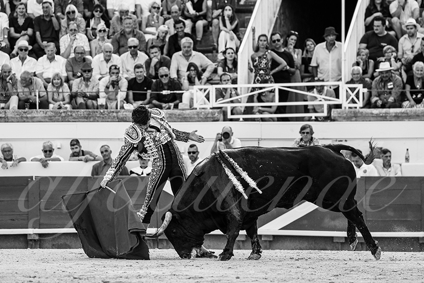 20230812 beziers 007 