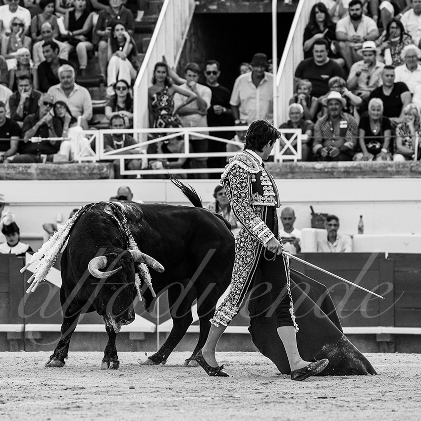 20230812 beziers 006 