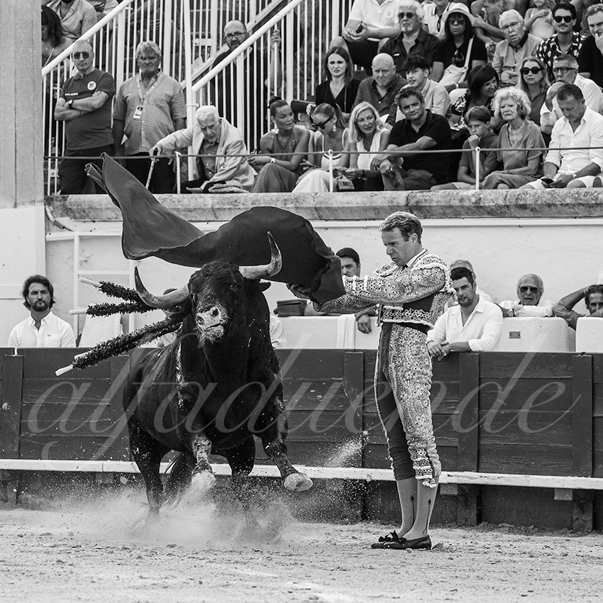 20230813 beziers 021