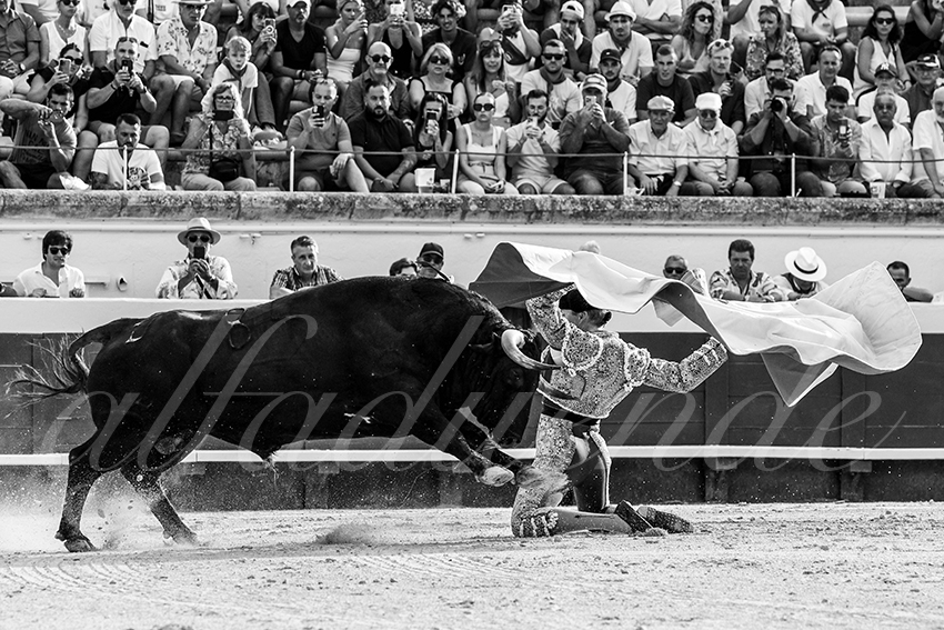 20230813 beziers 019