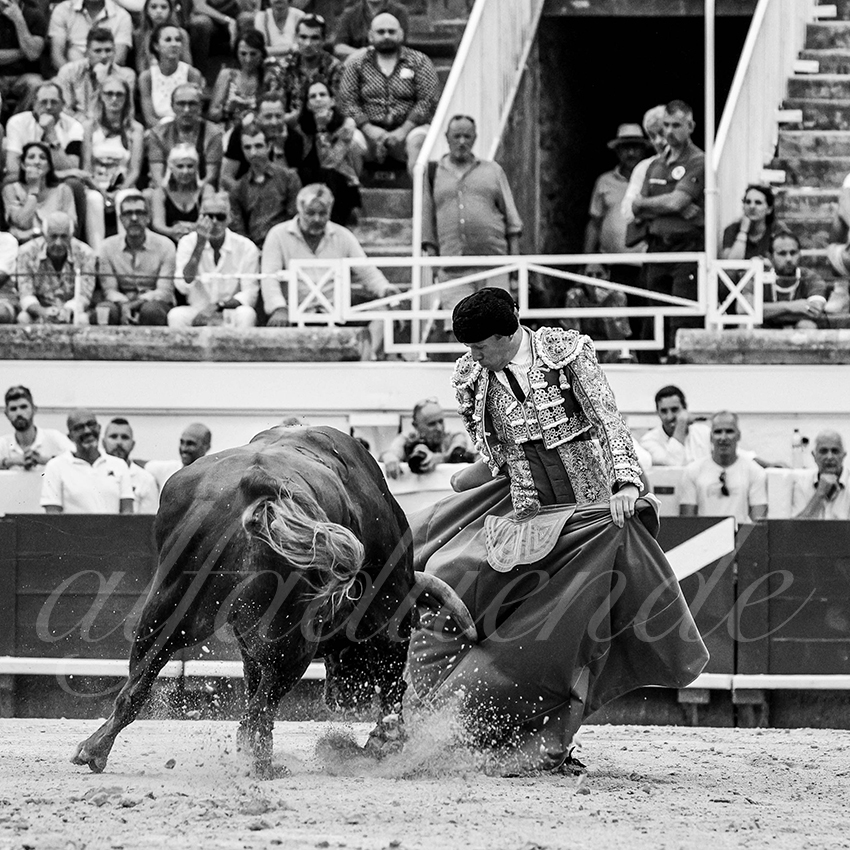 20230813 beziers 018