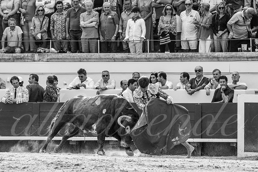 20230813 beziers 013