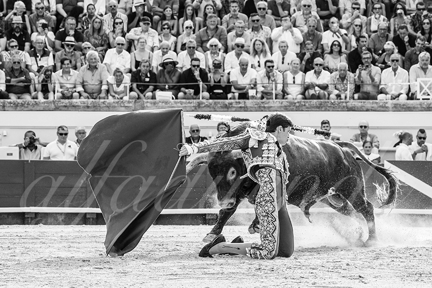 20230813 beziers 007