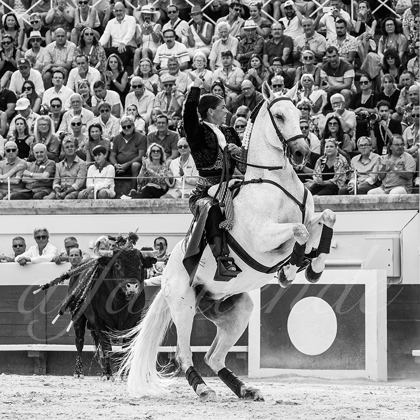 20230813 beziers 005