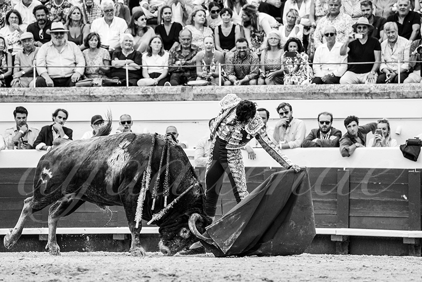 20230814 beziers 019