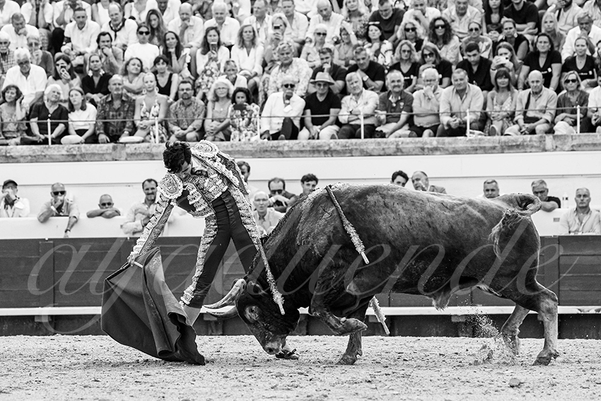 20230814 beziers 017