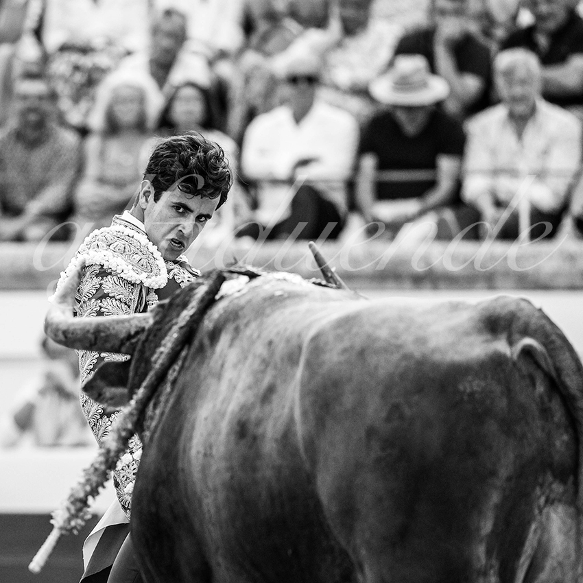 20230814 beziers 015