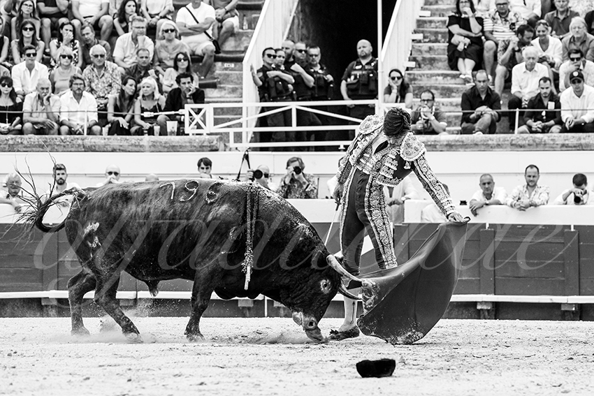 20230814 beziers 012