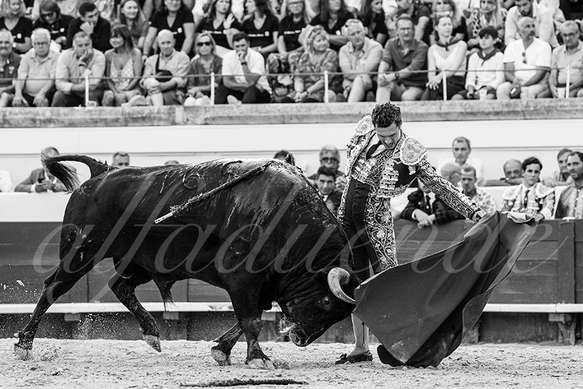 20230814 beziers 009