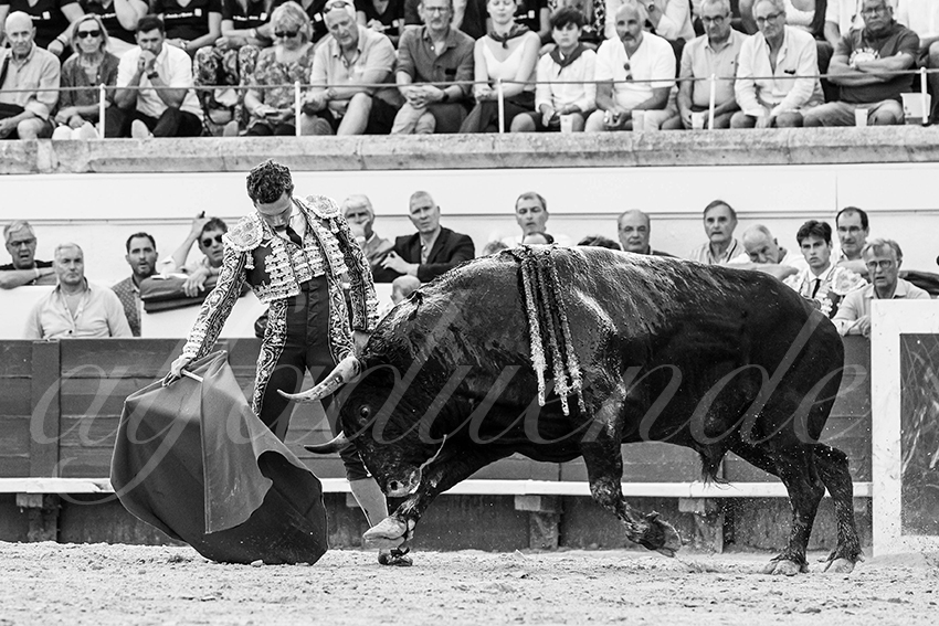 20230814 beziers 008