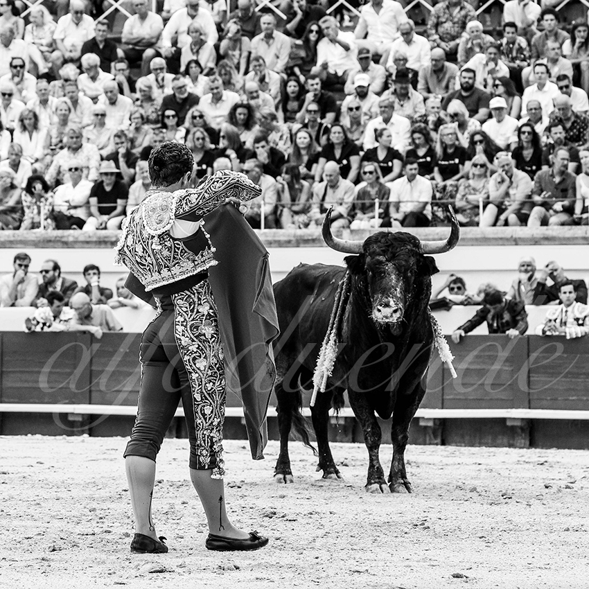 20230814 beziers 005