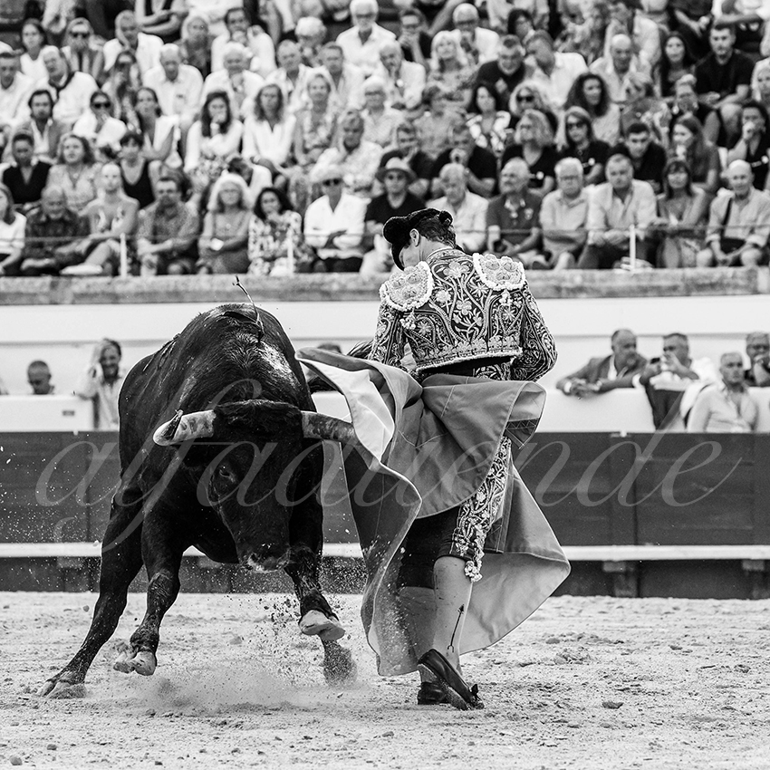 20230814 beziers 004