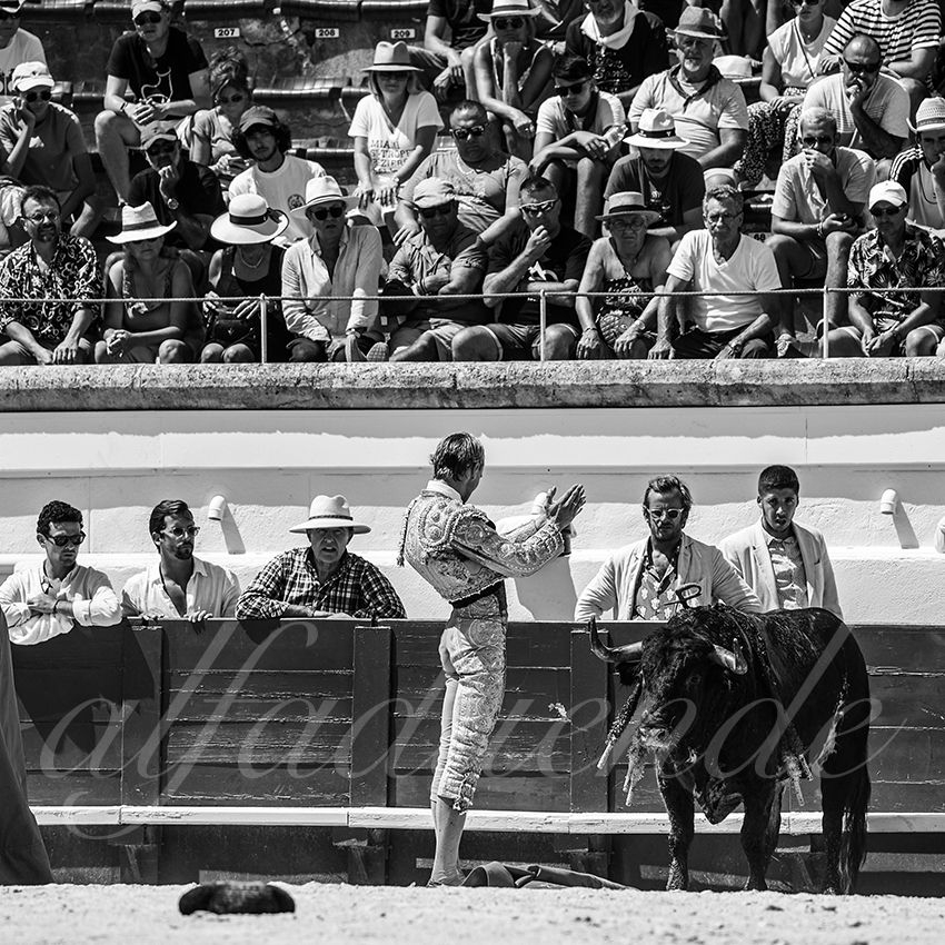 20230815 beziers nov 021