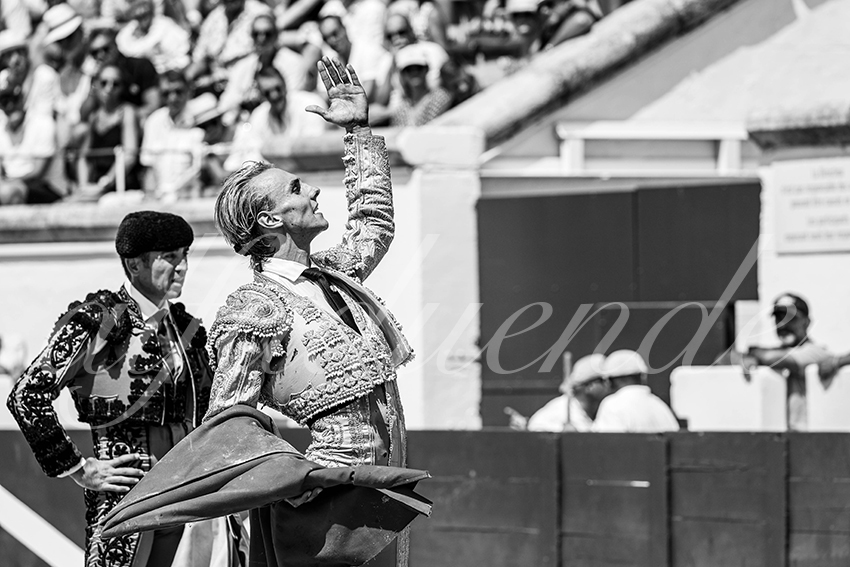 20230815 beziers nov 020