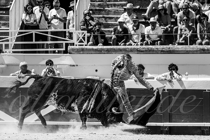 20230815 beziers nov 019