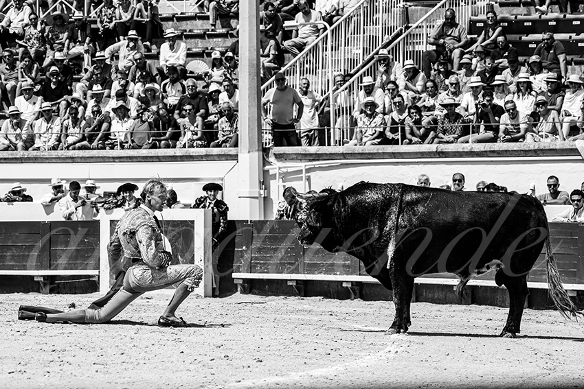 20230815 beziers nov 018