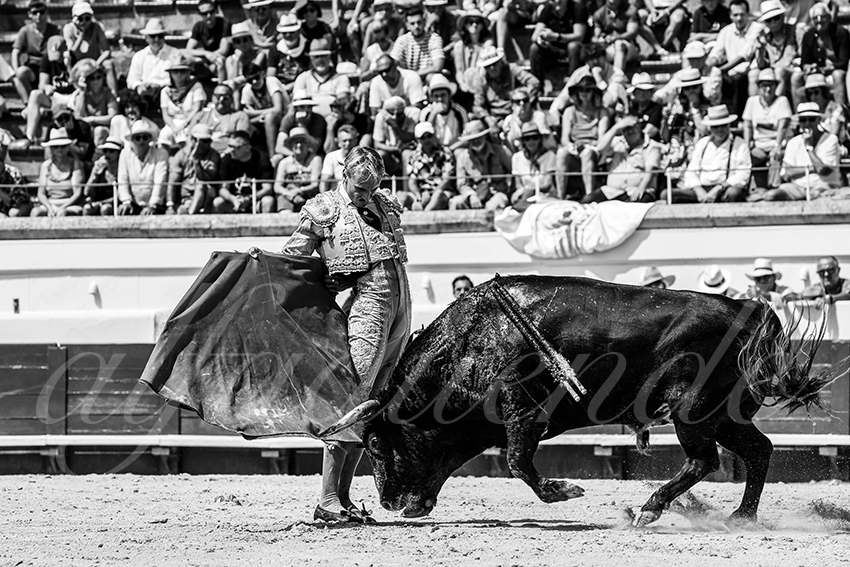 20230815 beziers nov 017