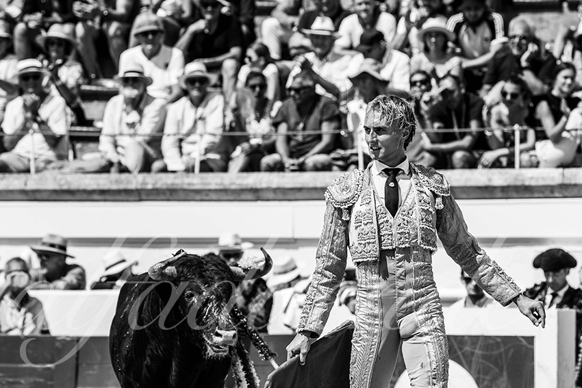 20230815 beziers nov 016