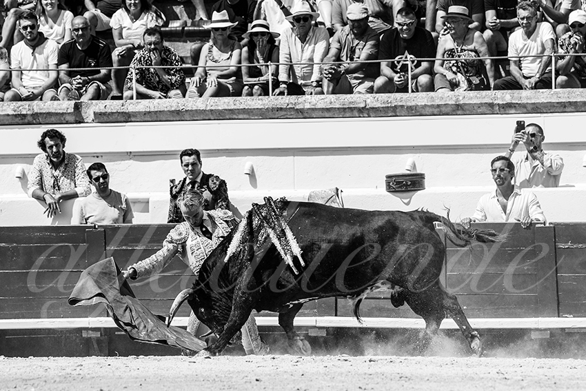 20230815 beziers nov 015