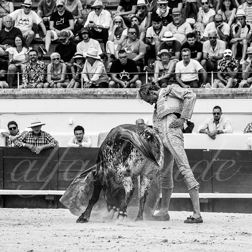 20230815 beziers nov 014