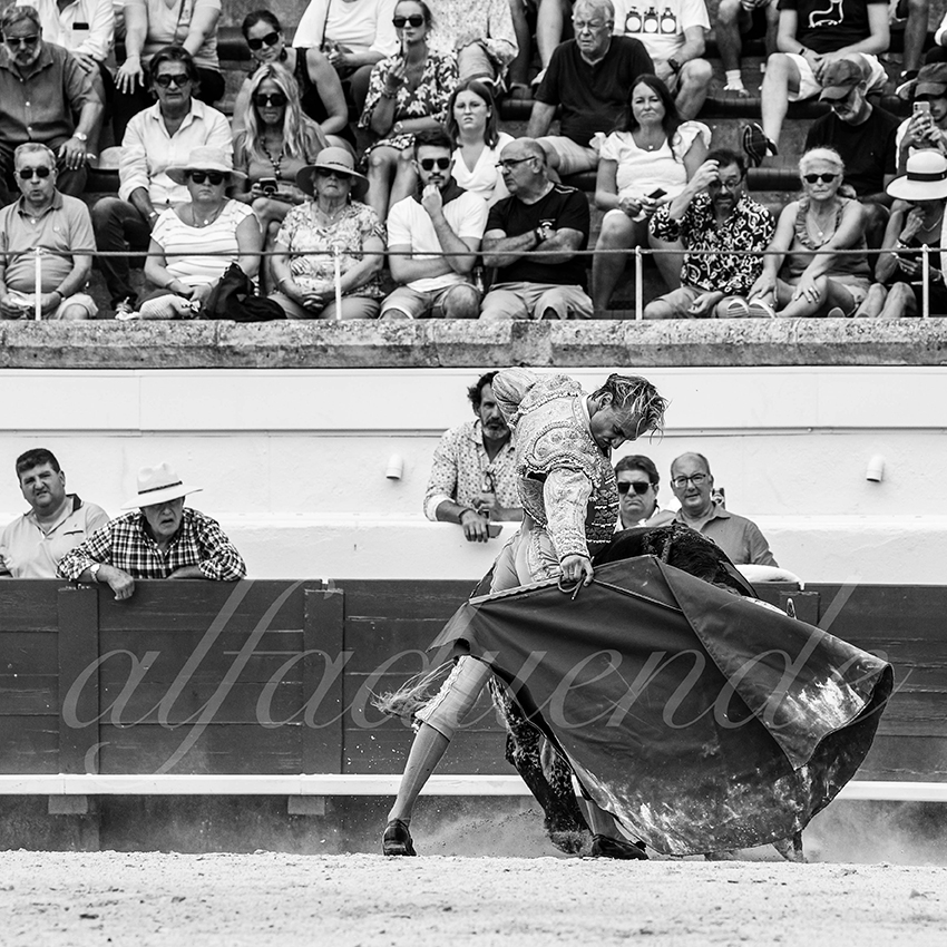 20230815 beziers nov 013