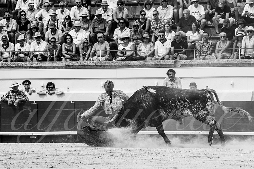 20230815 beziers nov 012