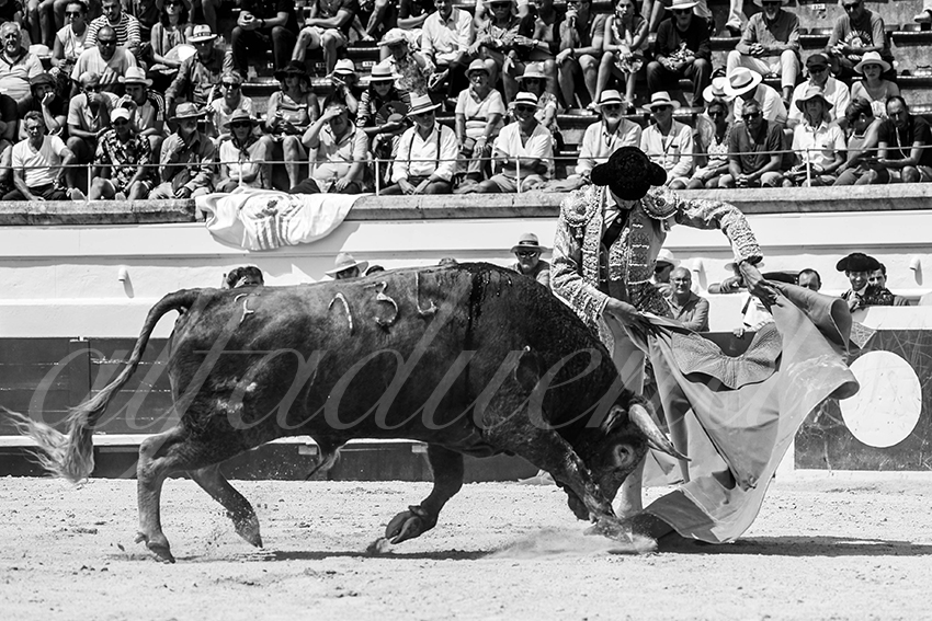 20230815 beziers nov 010