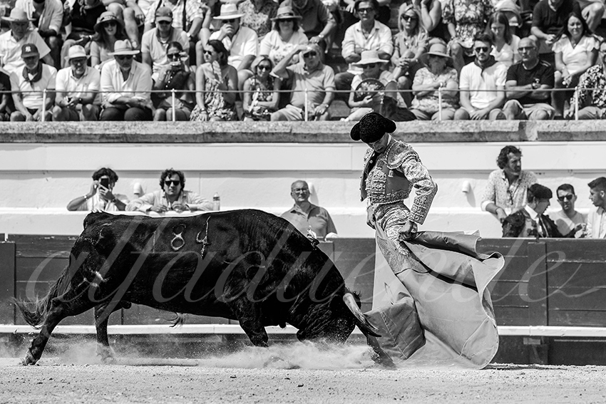 20230815 beziers nov 009