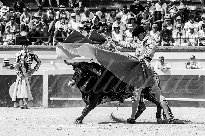 20230815 beziers nov 008