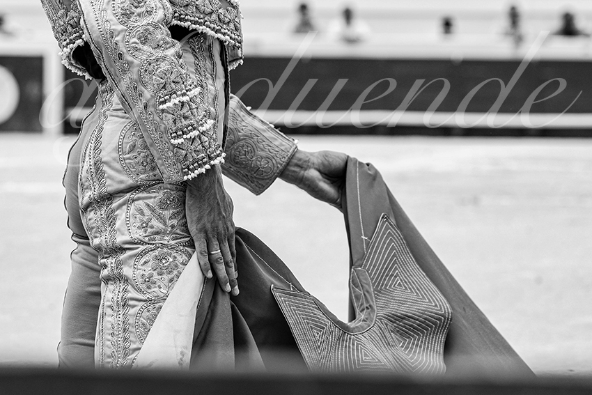 20230815 beziers nov 007