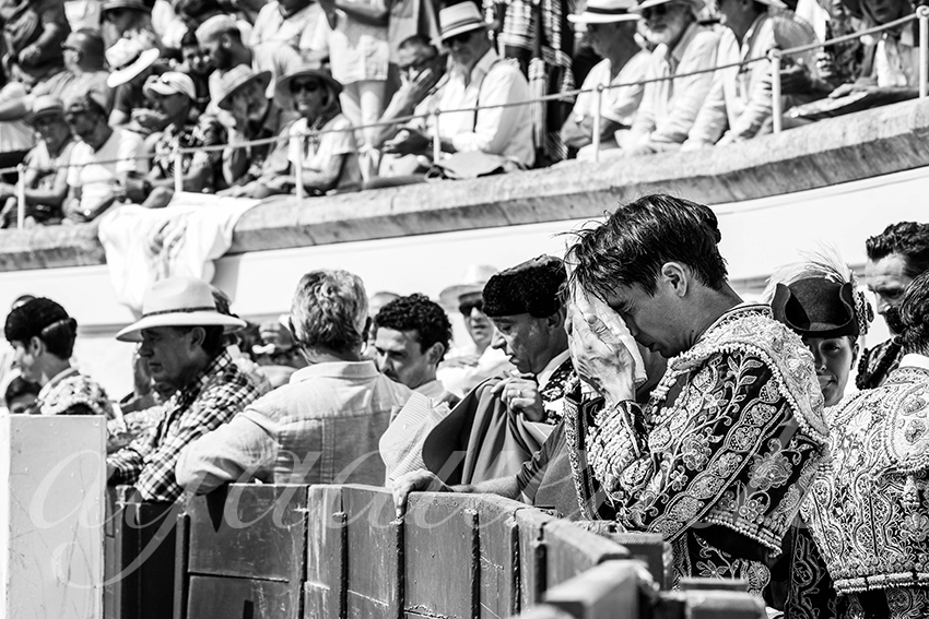 20230815 beziers nov 006