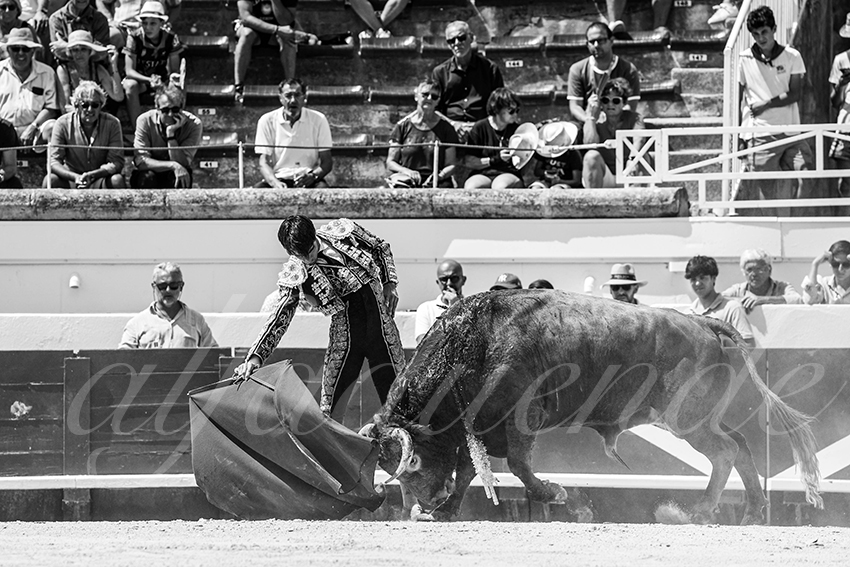 20230815 beziers nov 005