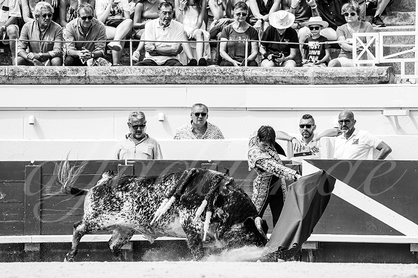 20230815 beziers nov 004