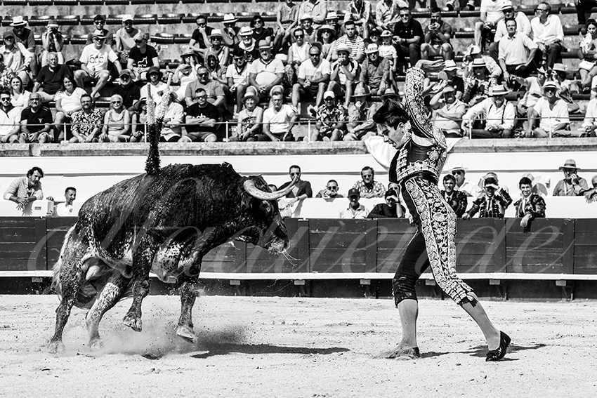 20230815 beziers nov 003