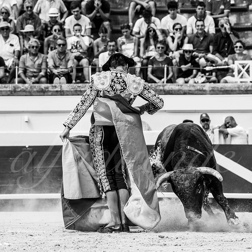 20230815 beziers nov 002