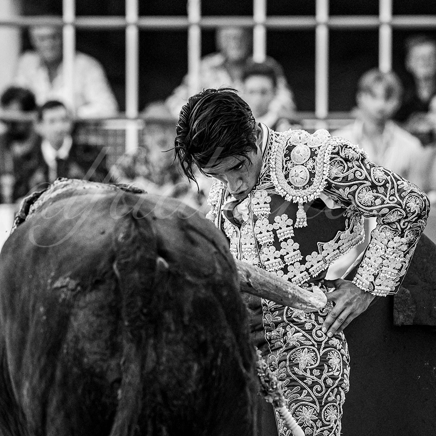 20230819 st gilles 016