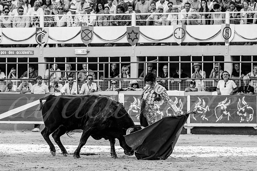 20230819 st gilles 009