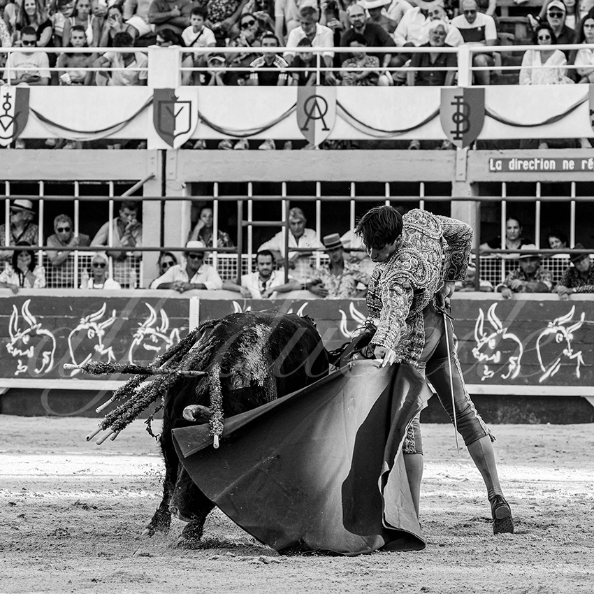 20230819 st gilles 006