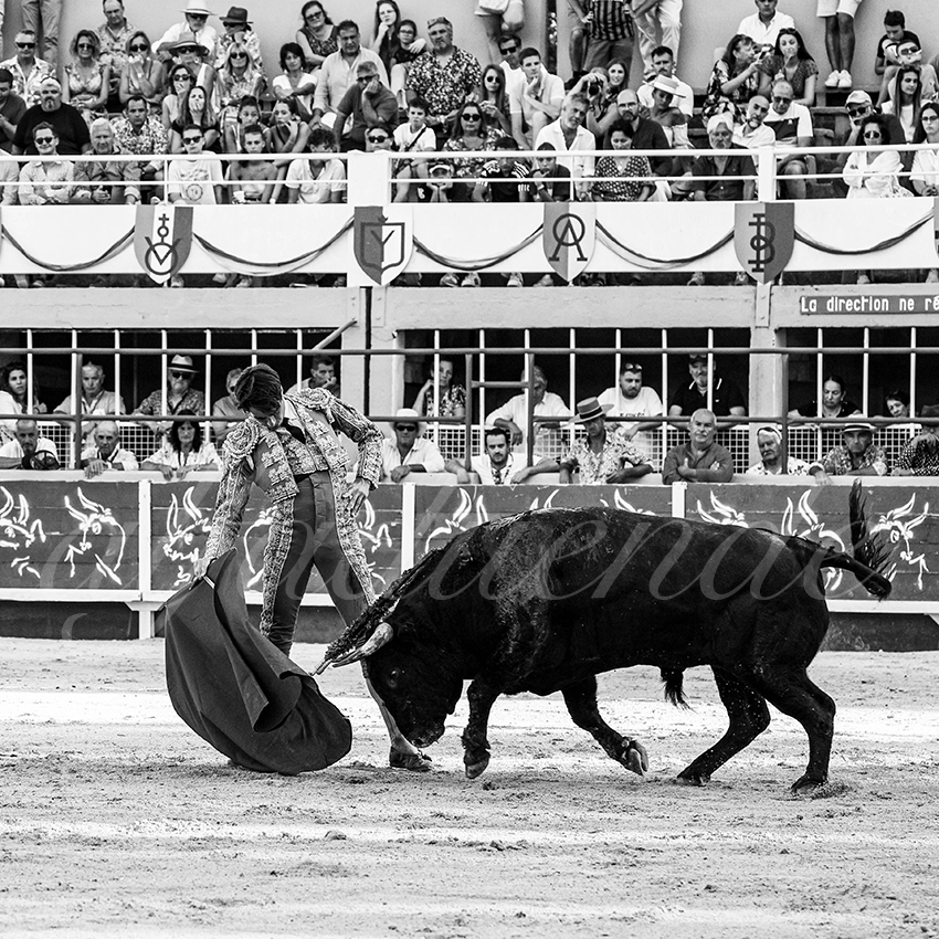 20230819 st gilles 004