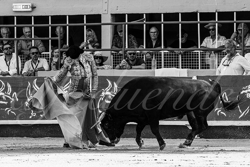 20230819 st gilles 002