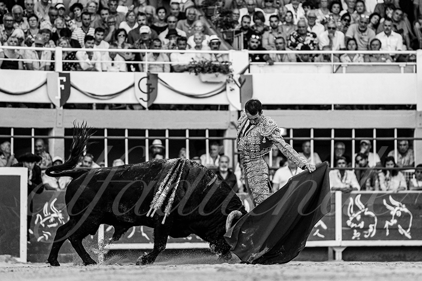 20230820 st gilles 030