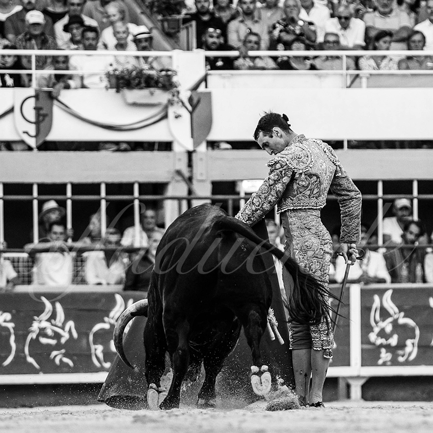 20230820 st gilles 029