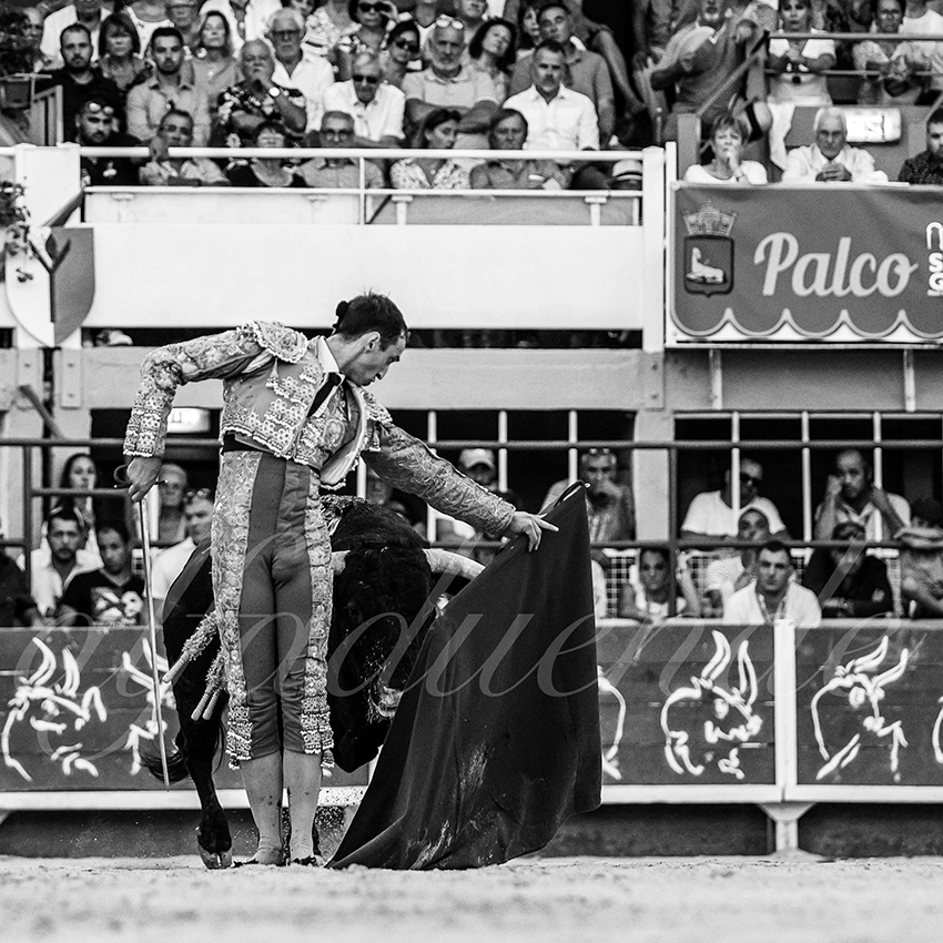 20230820 st gilles 028